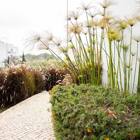 In Albur Village Lote A * アルヴォル